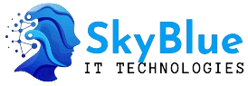 skyblueacademy.in